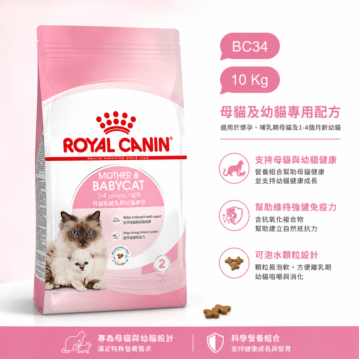 法國皇家 BC34 離乳貓與母貓專用乾糧