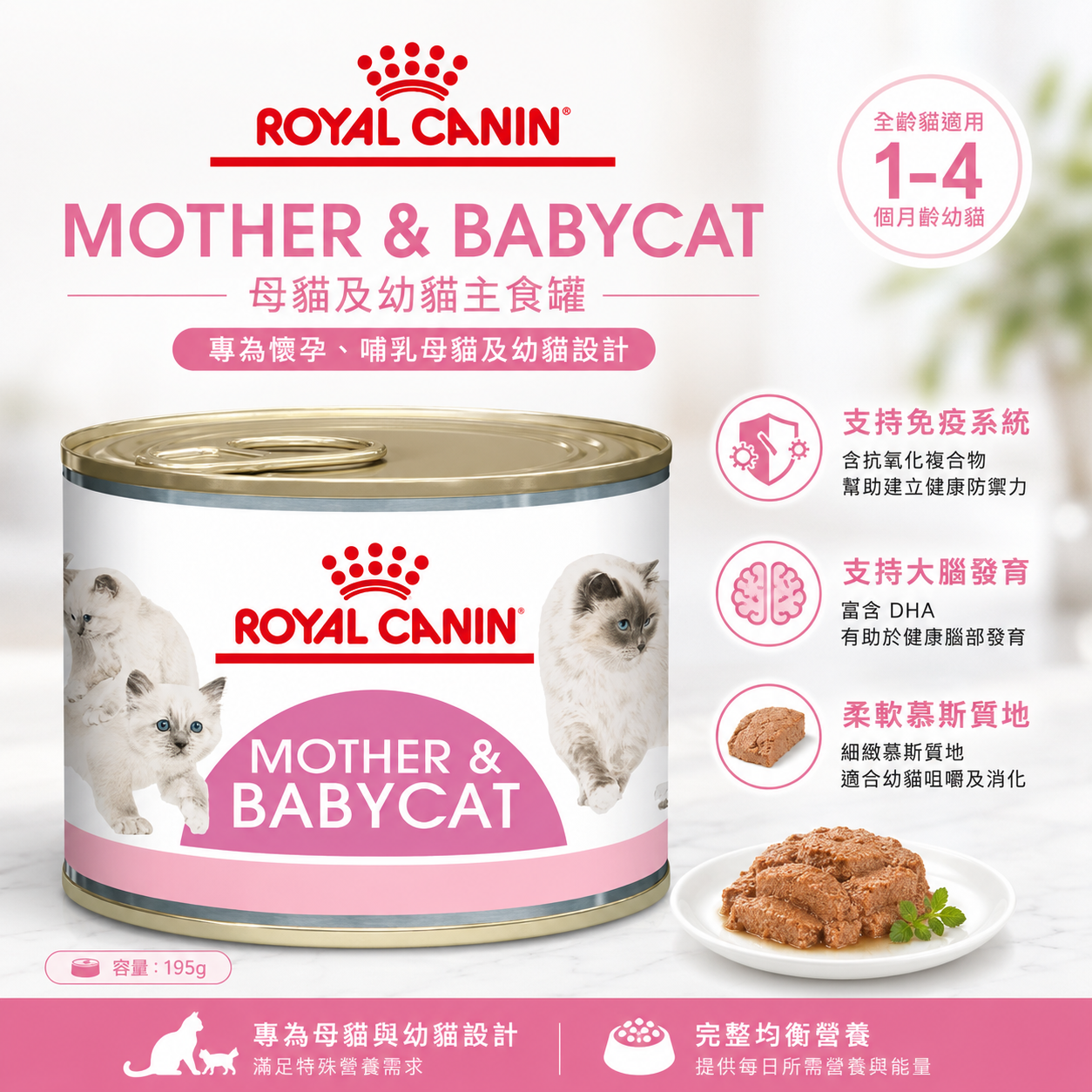 法國皇家 BC34W 離乳貓與母貓主食濕糧